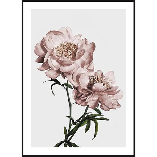 Poster Story, Plakat, Obraz - Różowe Tulipany No1, wymiary 70 x 100 cm