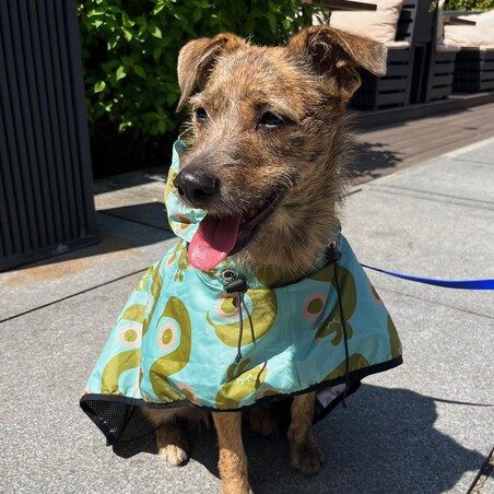 Płaszcz przeciwdeszczowy dla psa Piesss - Rozmiar: L