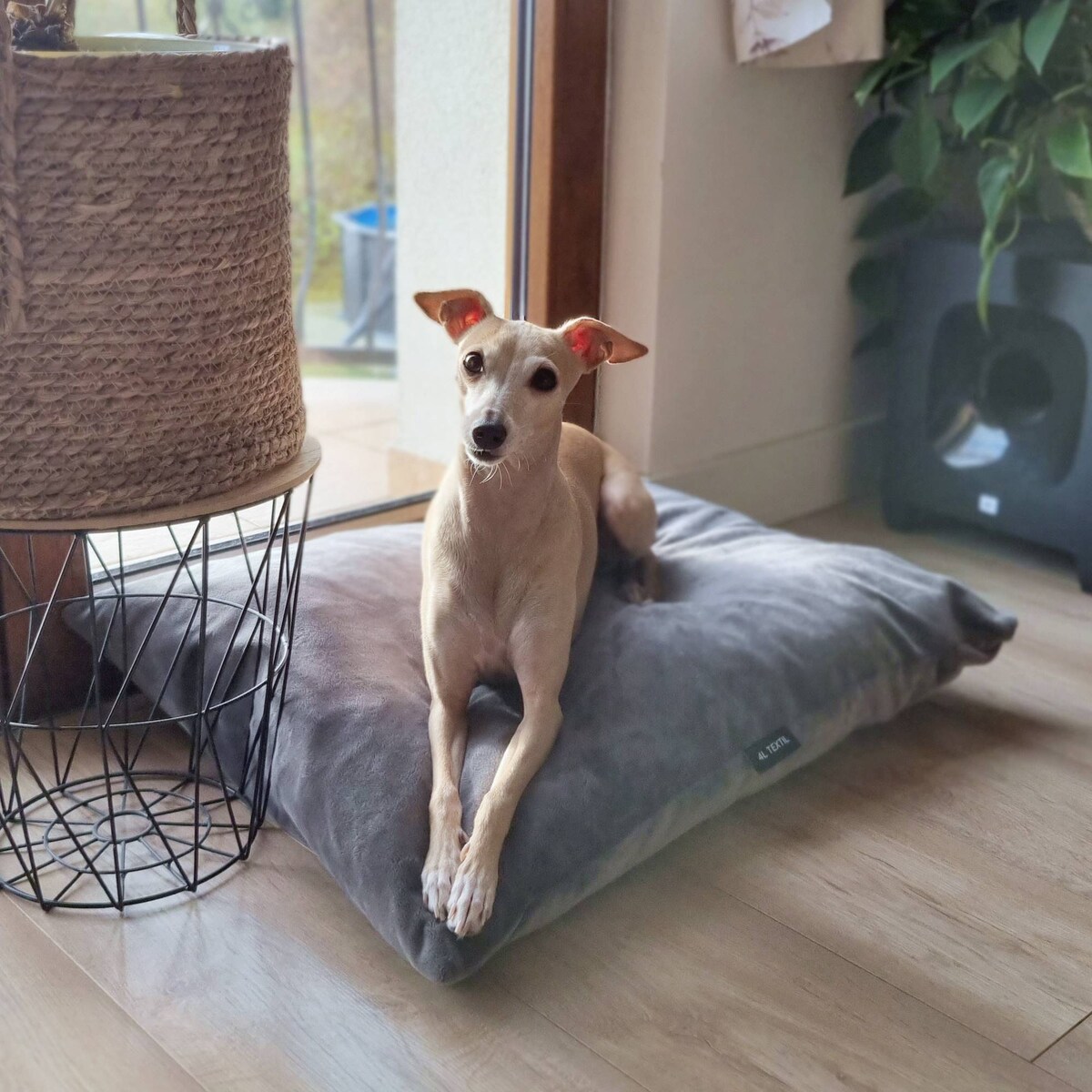 Miękka poduszka dla psa MALIBU, 100x80 cm, Grafit