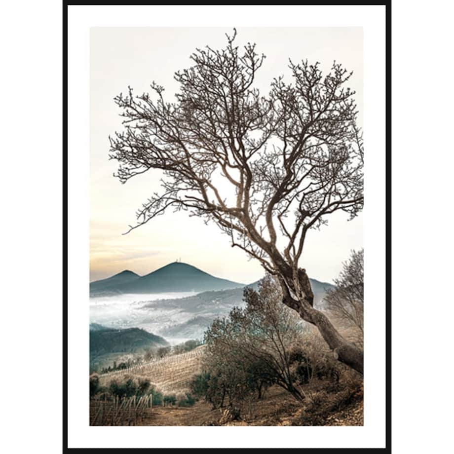 Poster Story, Plakat, Obraz - Stare Drzewo na Wzgórzu, wymiary 70 x 100 cm