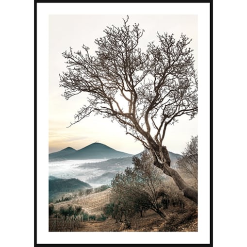 Poster Story, Plakat, Obraz - Stare Drzewo na Wzgórzu, wymiary 70 x 100 cm