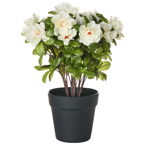 Sztuczna roślina NOVELLA 36 cm Biały