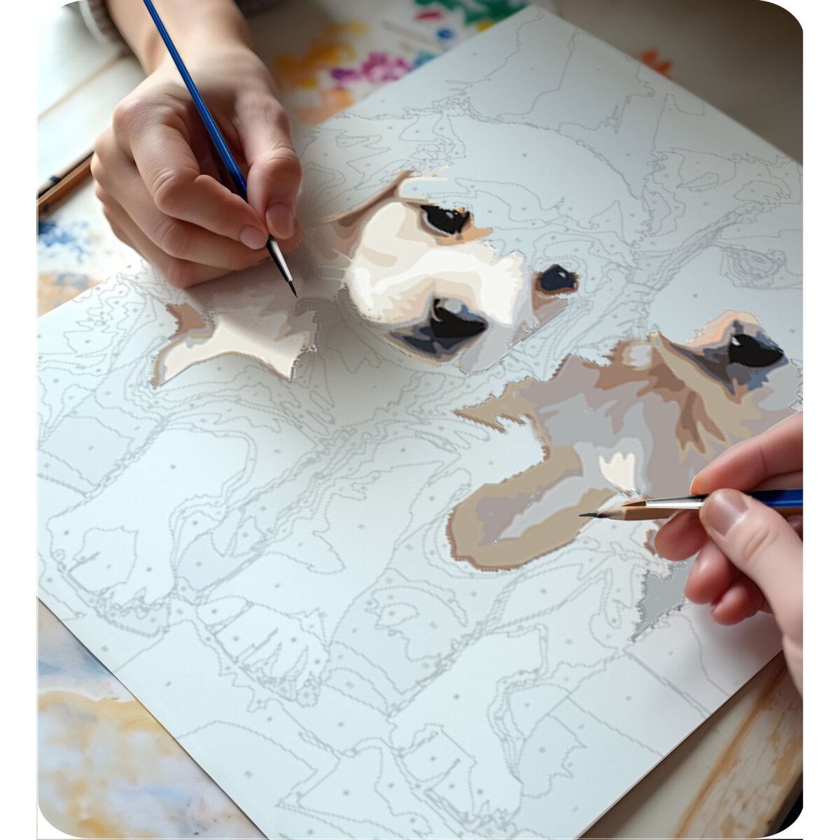 Malowanie po numerach obraz z ramą 40x50 Pieski Massido