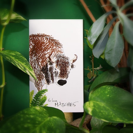 Zapałki NATURA "Żubr"