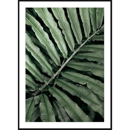 Poster Story, Plakat, Obraz - Zielony Liść Paproci, wymiary 42 x 60 cm