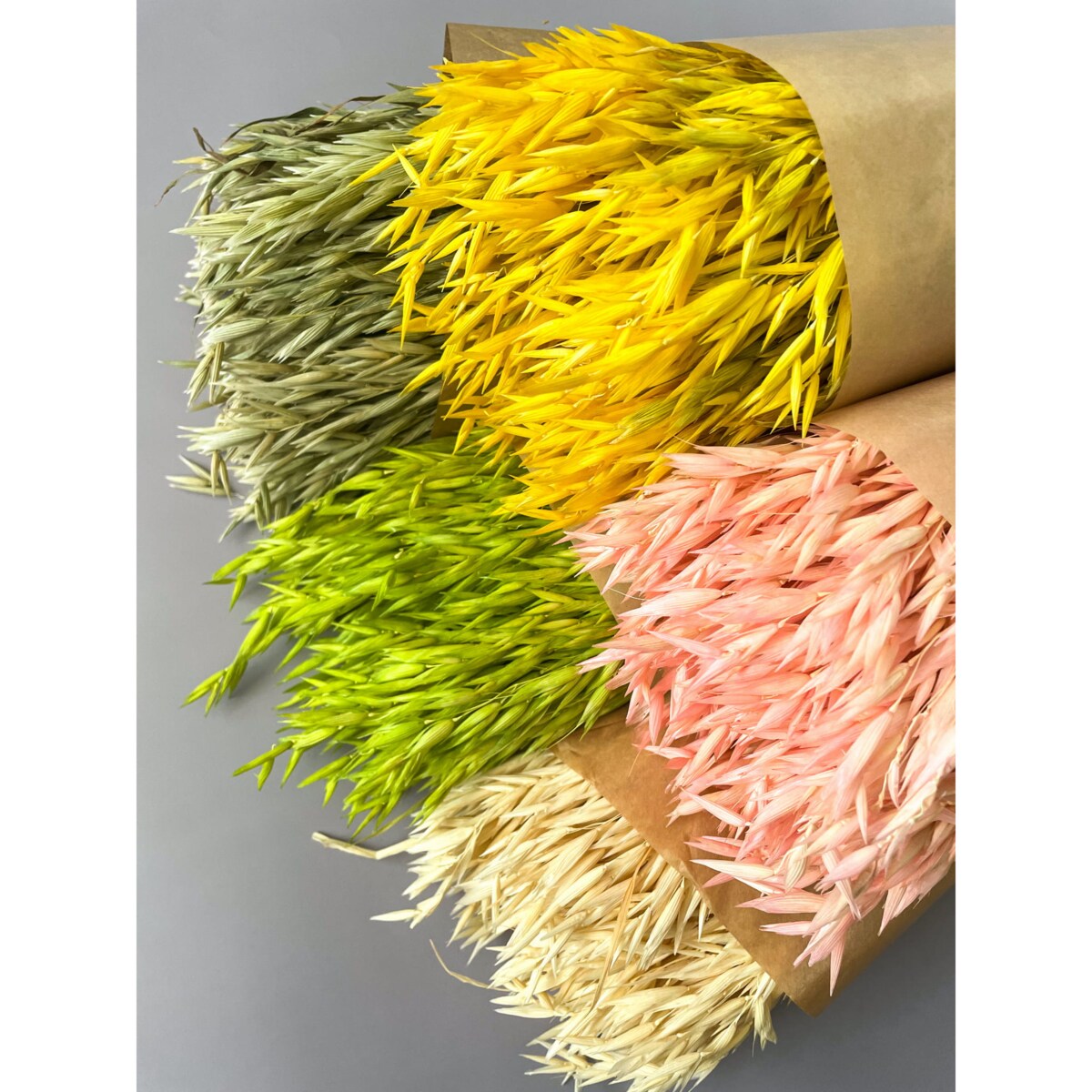 Suszony owies zielony - bukiet suszonego zboża 50szt.