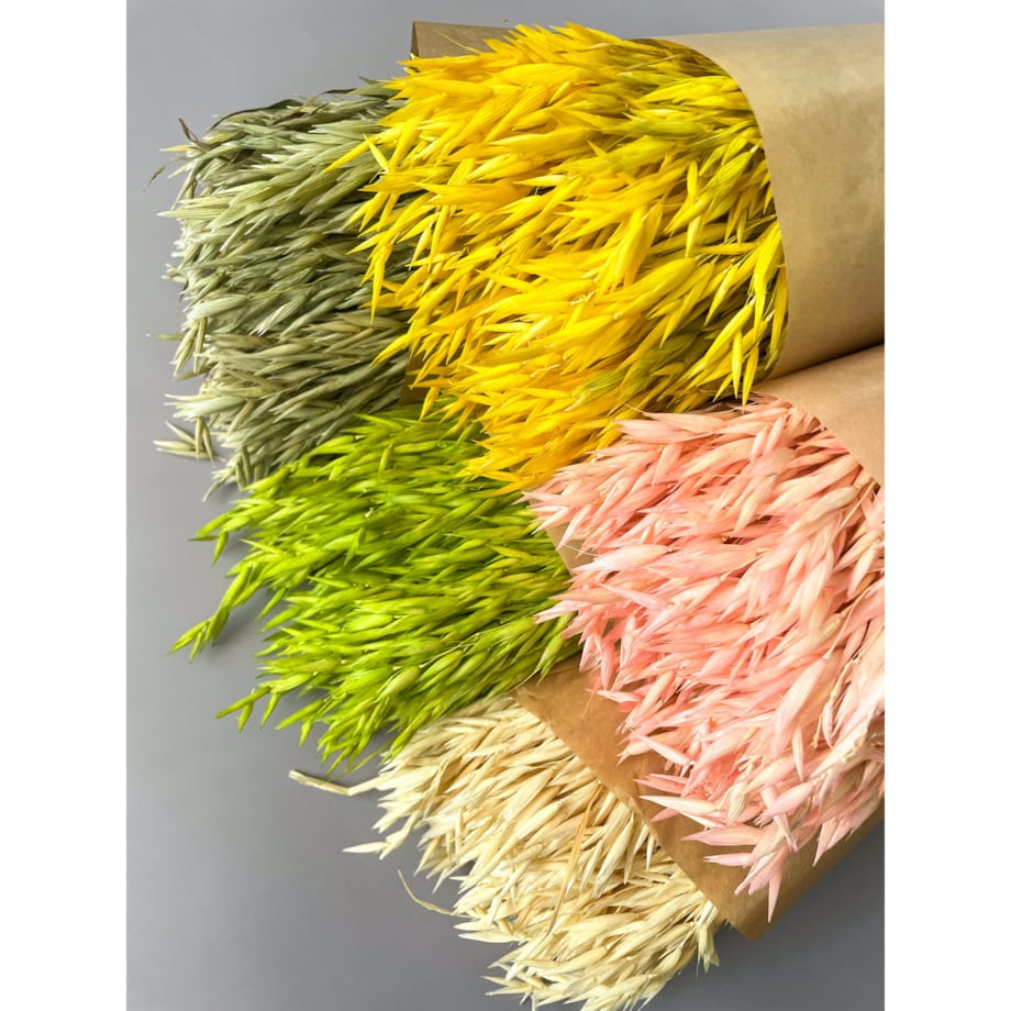 Suszony owies zielony - bukiet suszonego zboża 50szt.