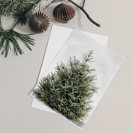 Plakat Jodła 30x40cm