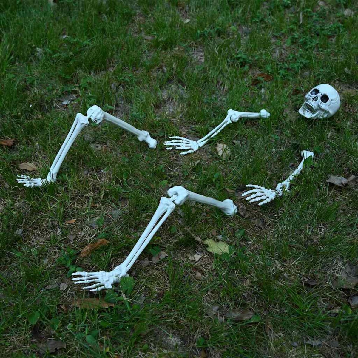 vidaXL Szkielet Halloween Biały 20 x 10 x 9,5 cm Z tworzywa sztucznego