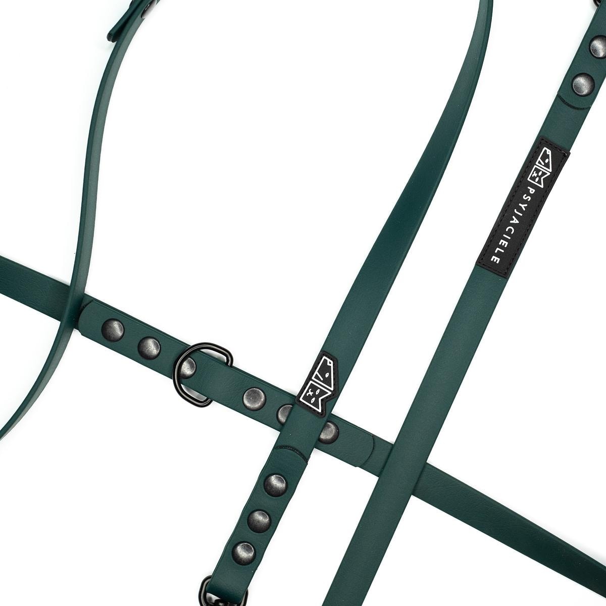 Smycz przepinana Biothane® dla psa lub kota "Green AF" - Rozmiar: M, Szerokość taśmy: 19mm