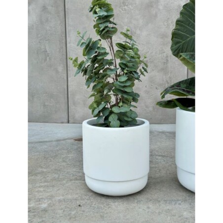 DONICZKA SANTIAGO WHITE S