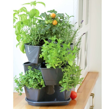 Doniczka Kaskadowa Na Zioła Ziołówka 38Cm Nożyczki