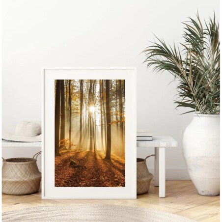 Poster Story, Plakat, Obraz - Jesienny Las, wymiary 21 x 30 cm