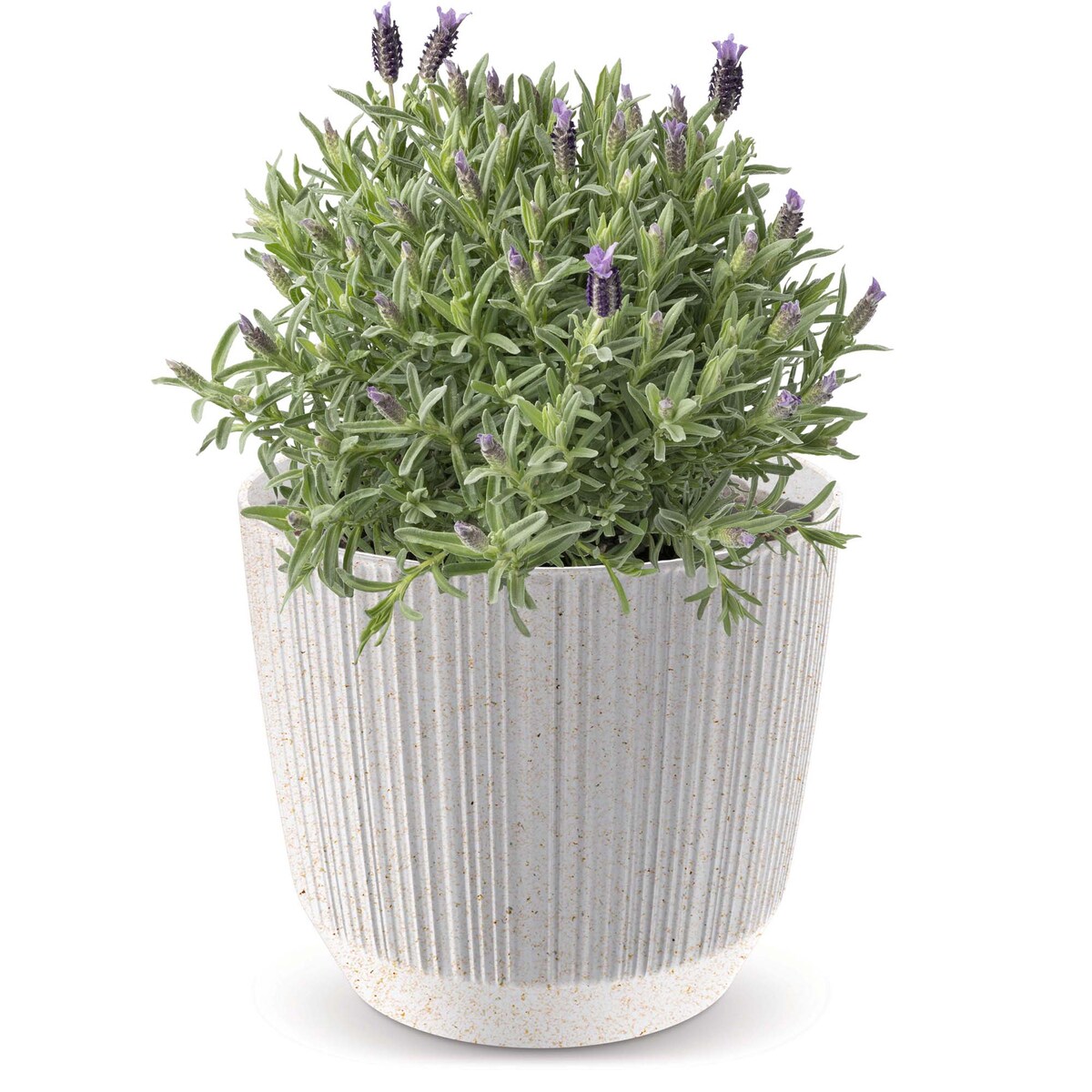 Doniczka Osłonka Domowa 19,5 Cm Ryfo Na Stół Parapet Do Domu Biała