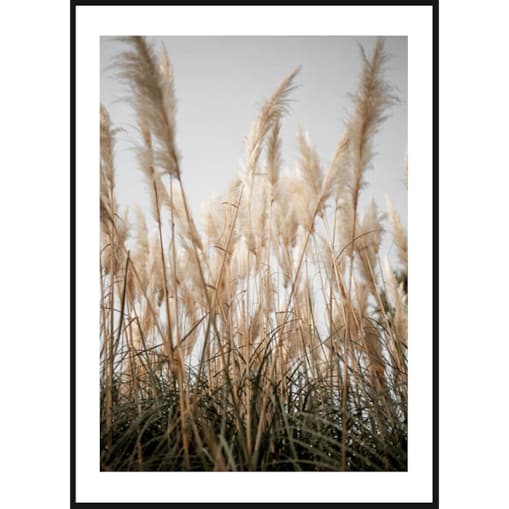 Poster Story, Plakat, Obraz - Trawa Plażowa, wymiary 60 x 84 cm