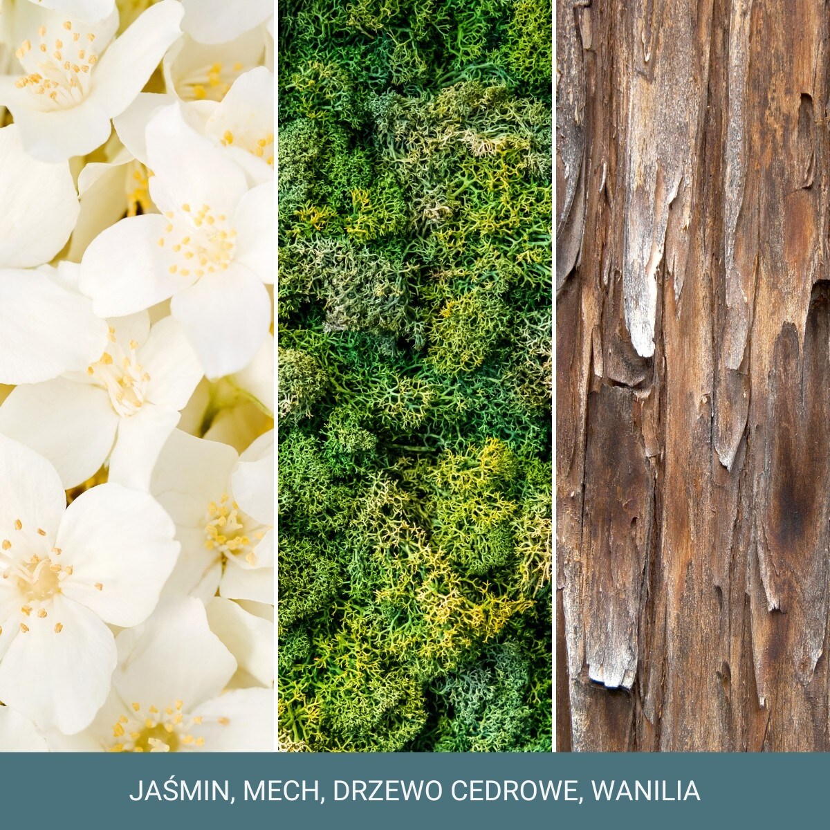 YC SIGNATURE - Świeca średnia MAGICAL BRIGHT LIGHT