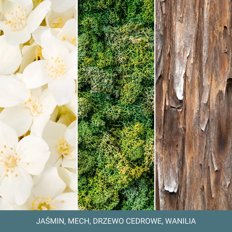 YC SIGNATURE - Świeca średnia MAGICAL BRIGHT LIGHT