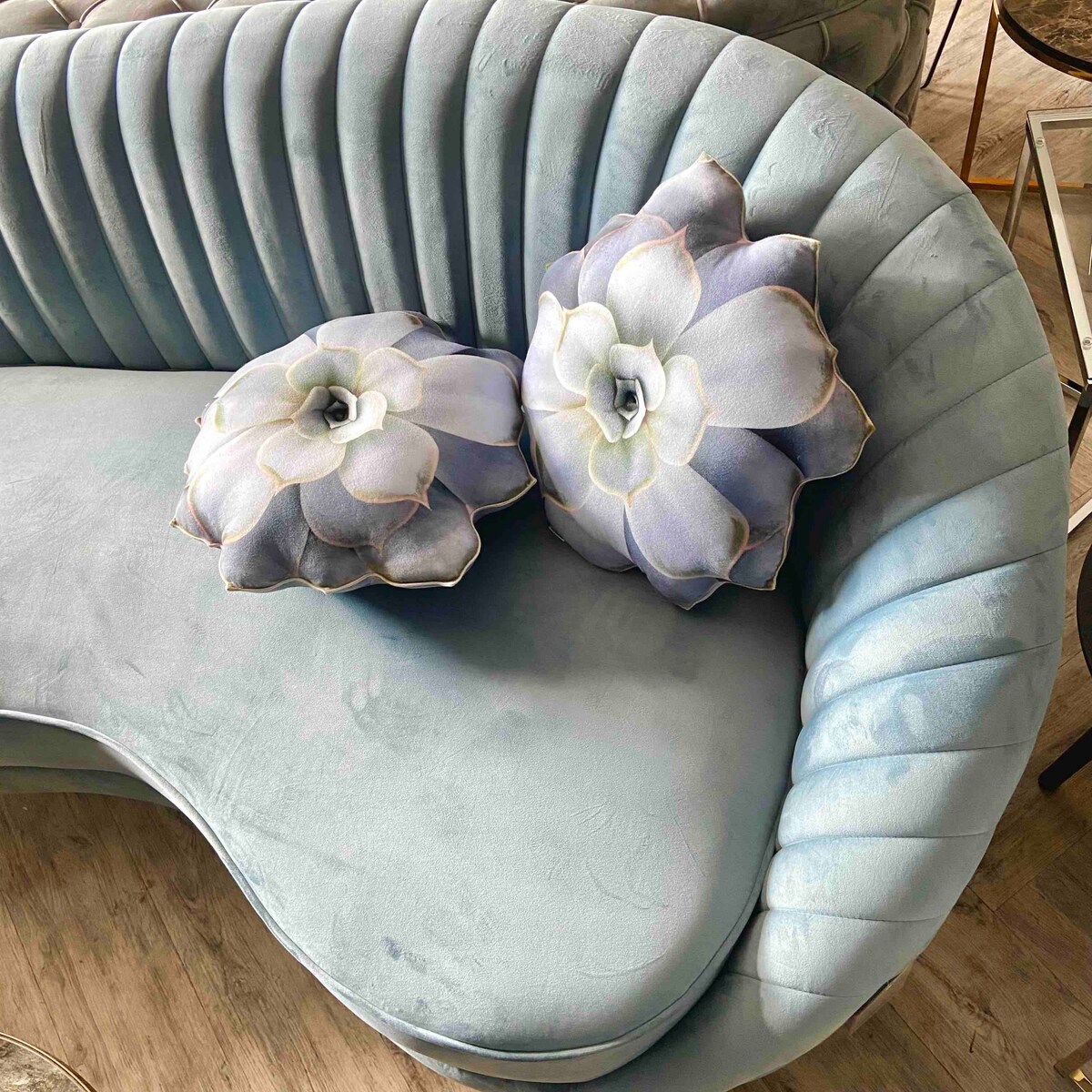 Poduszka duża Sukulent Echeveria Eszeweria