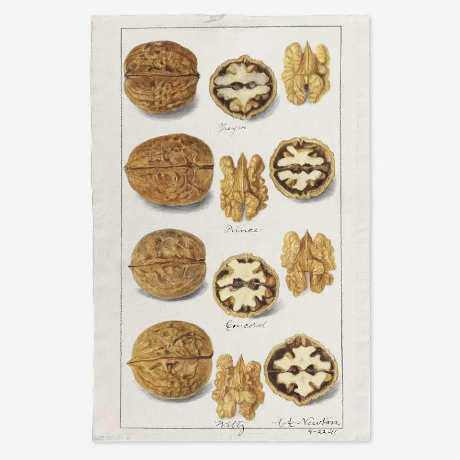 Lniany ręcznik kuchenny - orzechy włoskie