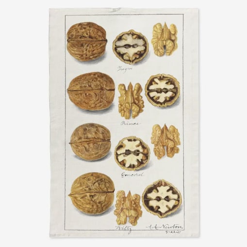 Lniany ręcznik kuchenny - orzechy włoskie