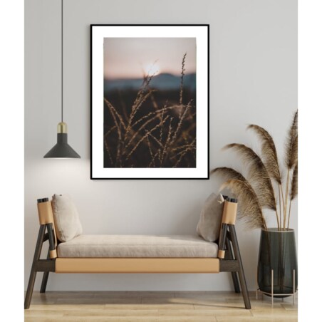 Poster Story, Plakat, Obraz - Delikatne Źdźbła Trawy, wymiary 42 x 60 cm