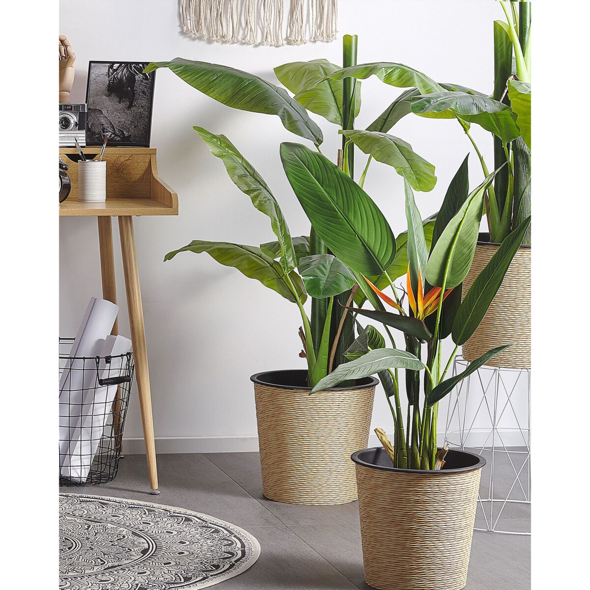 Sztuczna roślina STRELITZIA TREE 115 cm Zielony