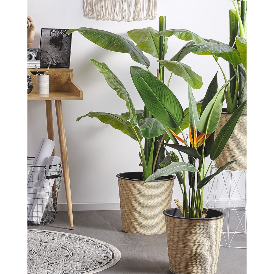 Sztuczna roślina STRELITZIA TREE 115 cm Zielony