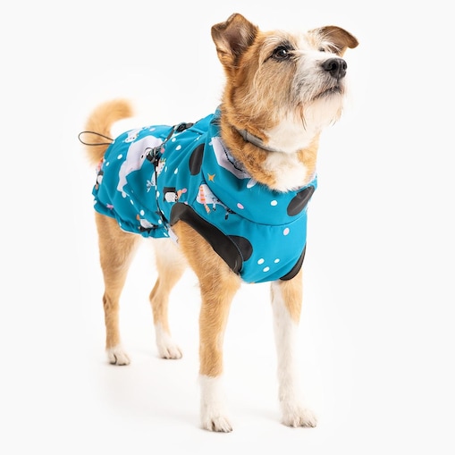 Kurtka dla psa "Łot de fok?" - Rozmiar: L