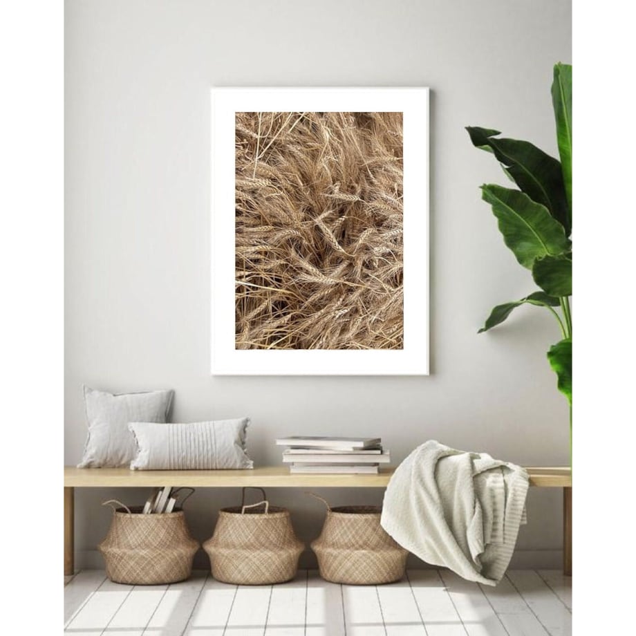 Poster Story, Plakat, Obraz - Kłosy Pszenicy, wymiary 30 x 42 cm