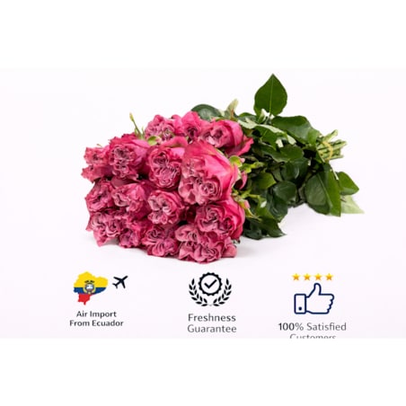 Bukiet róż Country Blue – 25 sztuk, wysokość 40-45 cm (Ekwador)