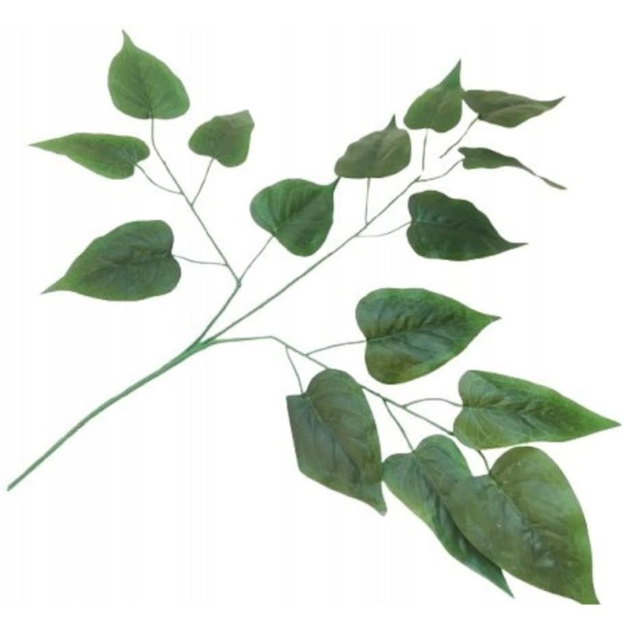 LIŚCIE DO stroika wiązanki gałązka zielony łodyga dodatek róży liść bukiet