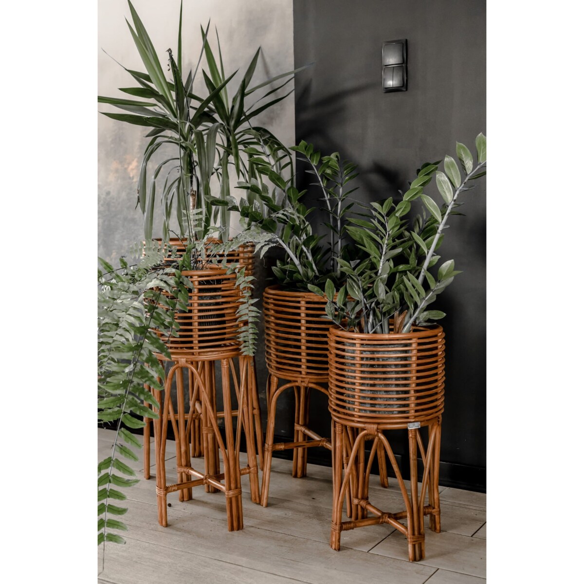 KWIETNIK POLLIE M NATURALNY