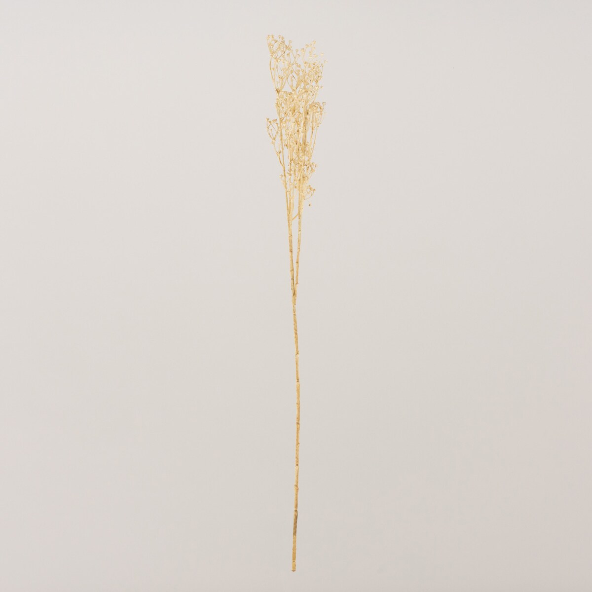 Gałązka Frostbloom ecru 80 cm, 5x80 cm