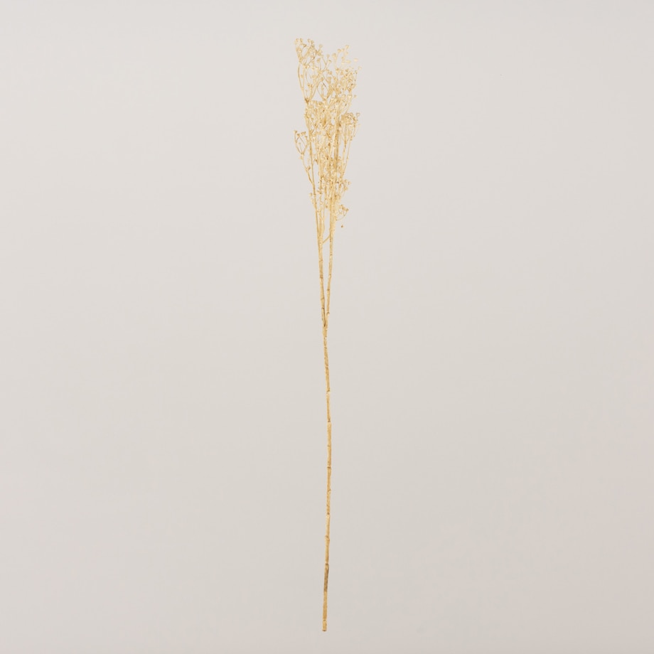 Gałązka Frostbloom ecru 80 cm, 5x80 cm