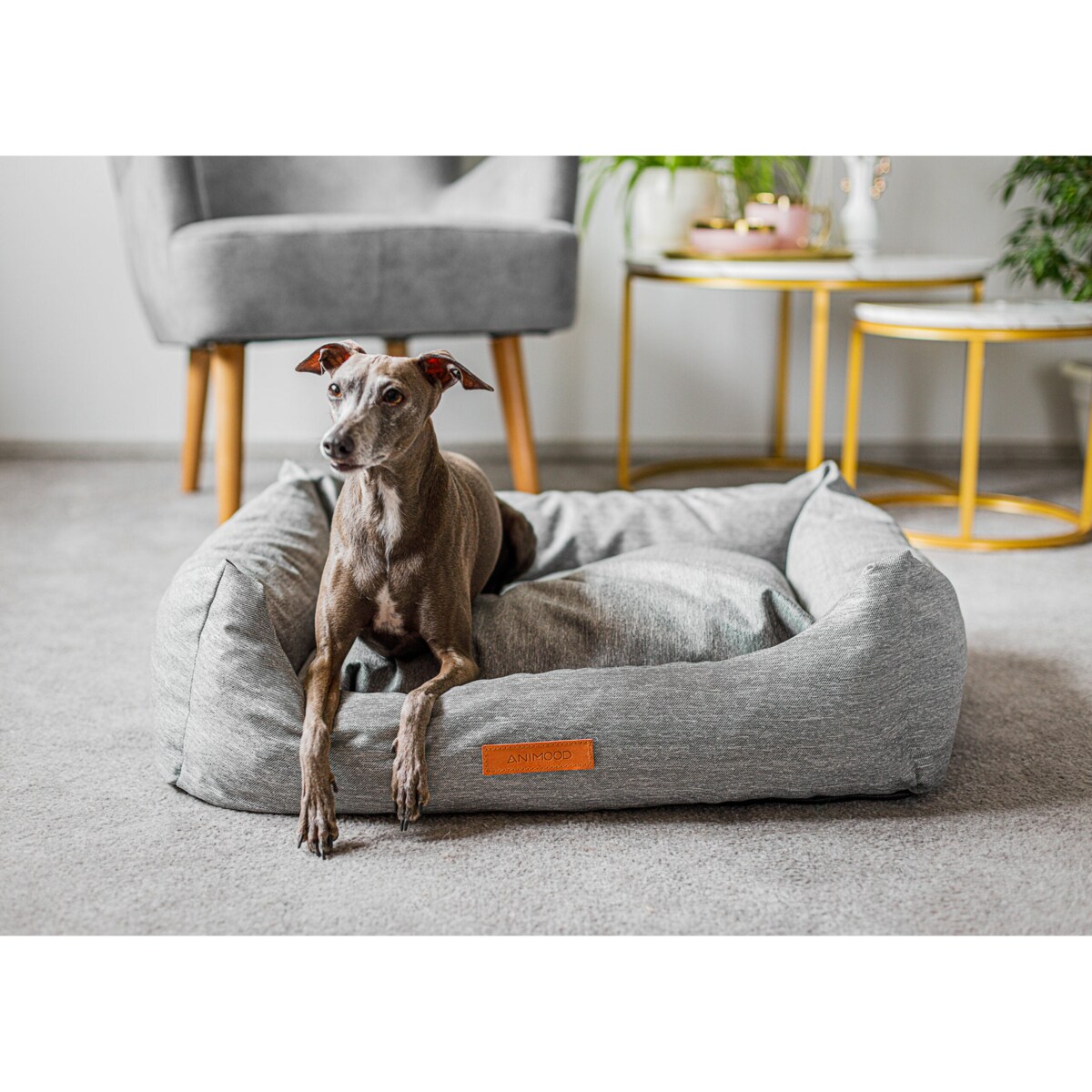 Animood Legowisko Alex rozmiar: L, kolor: szary, materiał: jeans imitacja