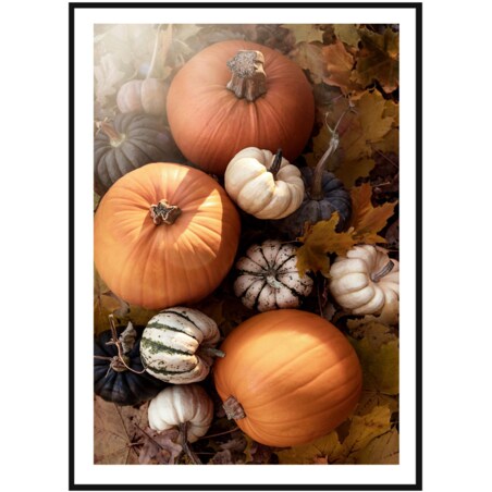 Poster Story, Plakat, Obraz - Jesienne Dynie, wymiary 42 x 60 cm
