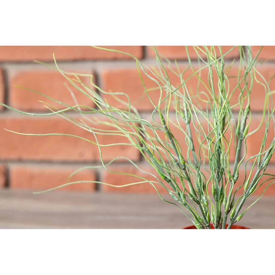 SZTUCZNA TRAWA w doniczce śr. 6cm