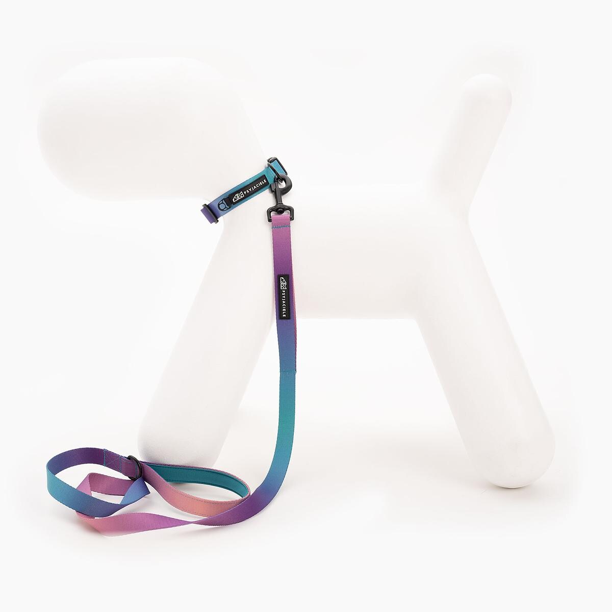 Obroża dla psa lub kota "Under my ombrella" TURKUS - Szerokość taśmy: 38mm, Rozmiar: XL