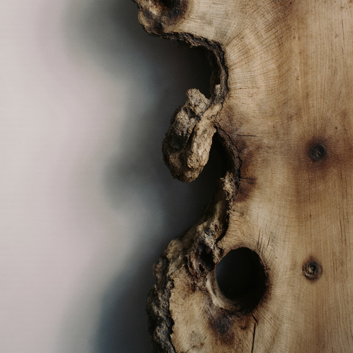 Esenzia L'Oree du Bois 10ml - zapach do mini dyfuzora