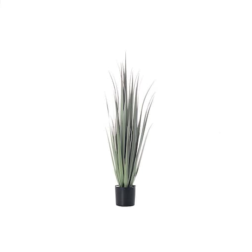 Dekoracja roślinna Grass 92cm, 92 cm