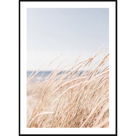 Poster Story, Plakat, Obraz - Przybrzeżna Trawa Morska, wymiary 70 x 100 cm