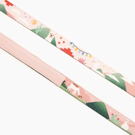 Smycz miejska dla psa lub kota "Więcej niż jedno zwierzę" - Szerokość taśmy: 20mm, Rozmiar: L oraz Rodzaj: Mały karabinek