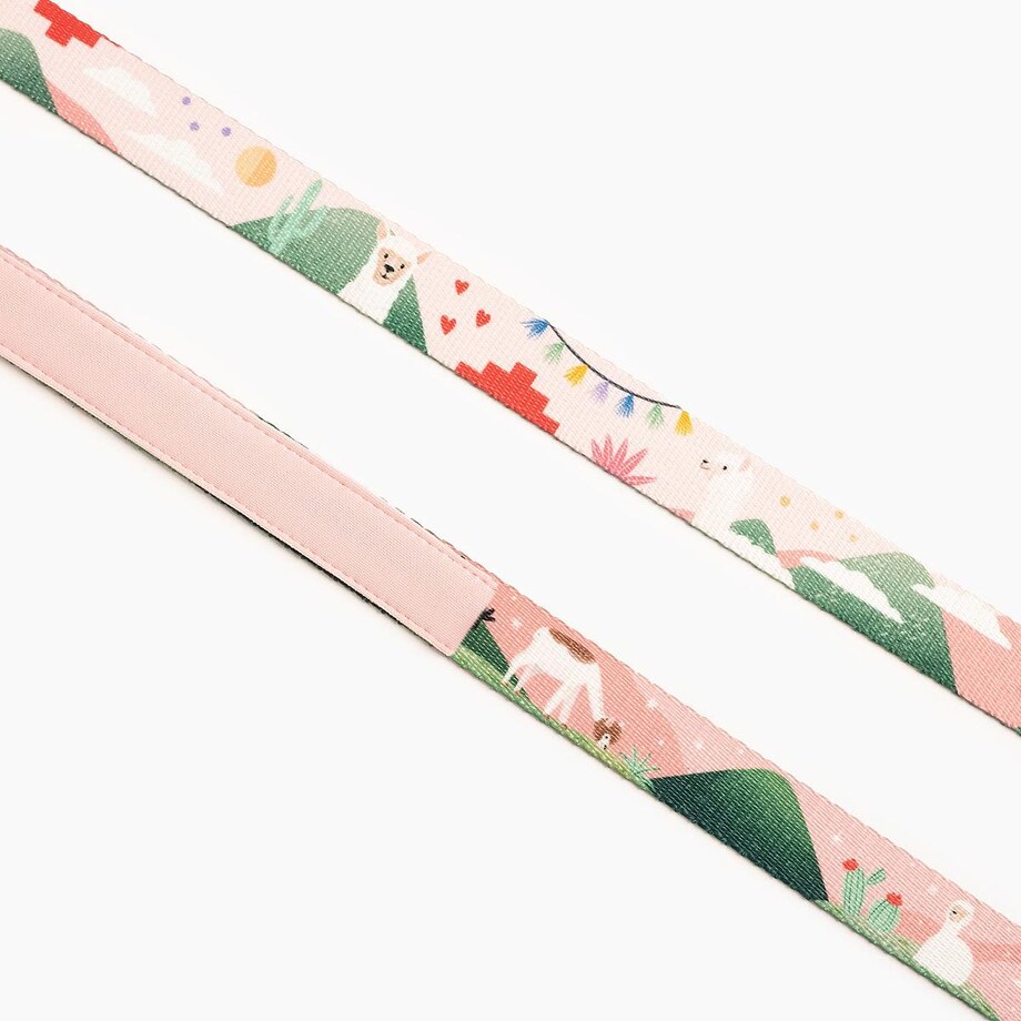 Smycz miejska dla psa lub kota "Więcej niż jedno zwierzę" - Szerokość taśmy: 20mm, Rozmiar: L oraz Rodzaj: Mały karabinek