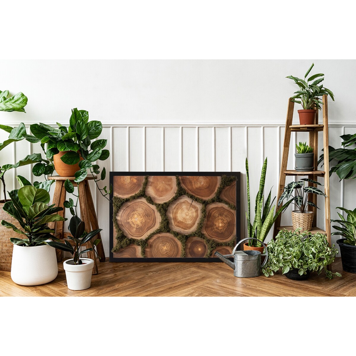 Obraz Przekrój pnia - mech chrobotek w czarnej ramie 60x40cm