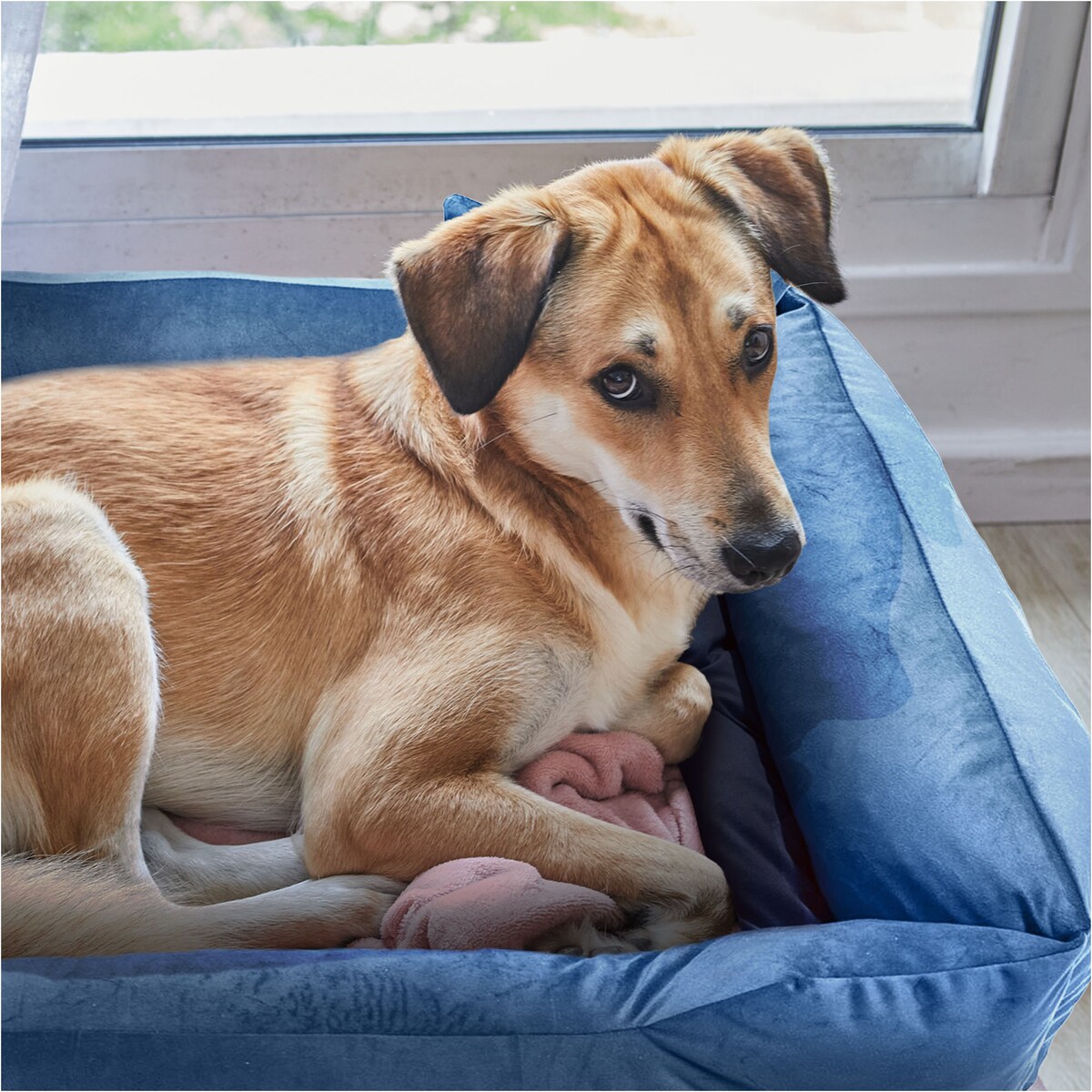 Legowisko Dla Psa Kanapa Posłanie Welurowe 70X60 Cm Pikowane Prestiżowe Niebieskie