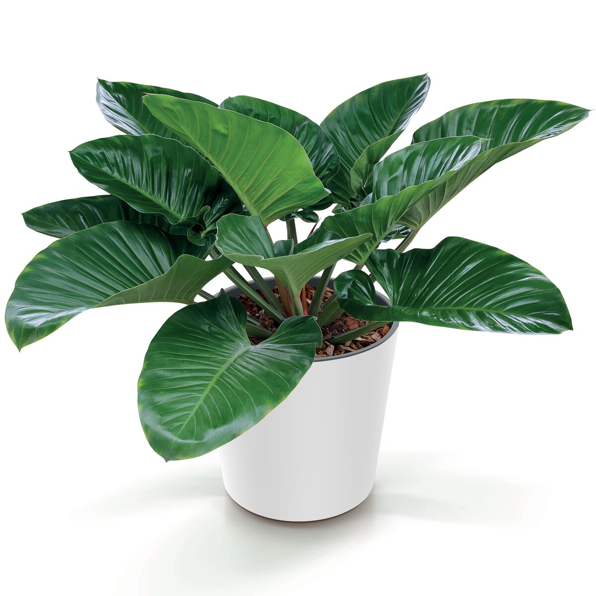 Doniczka Donica Ogrodowa 25 Cm Okrągła Na Taras Do Ogrodu Domu Biała