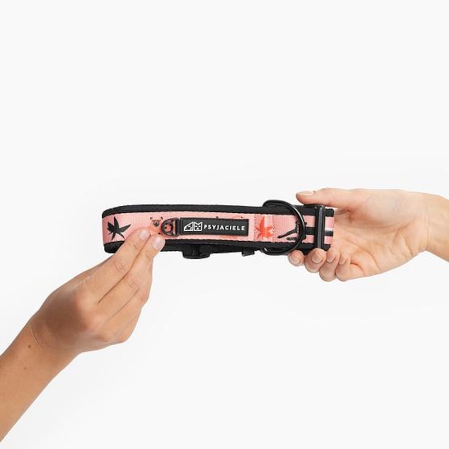 Obroża z klamrą SUPER SOFT "Pantera przyszedł do jungli?"