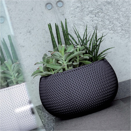 Doniczka Donica Do Domu I Ogrodu Splofy Bowl Antracytowa 29 Cm