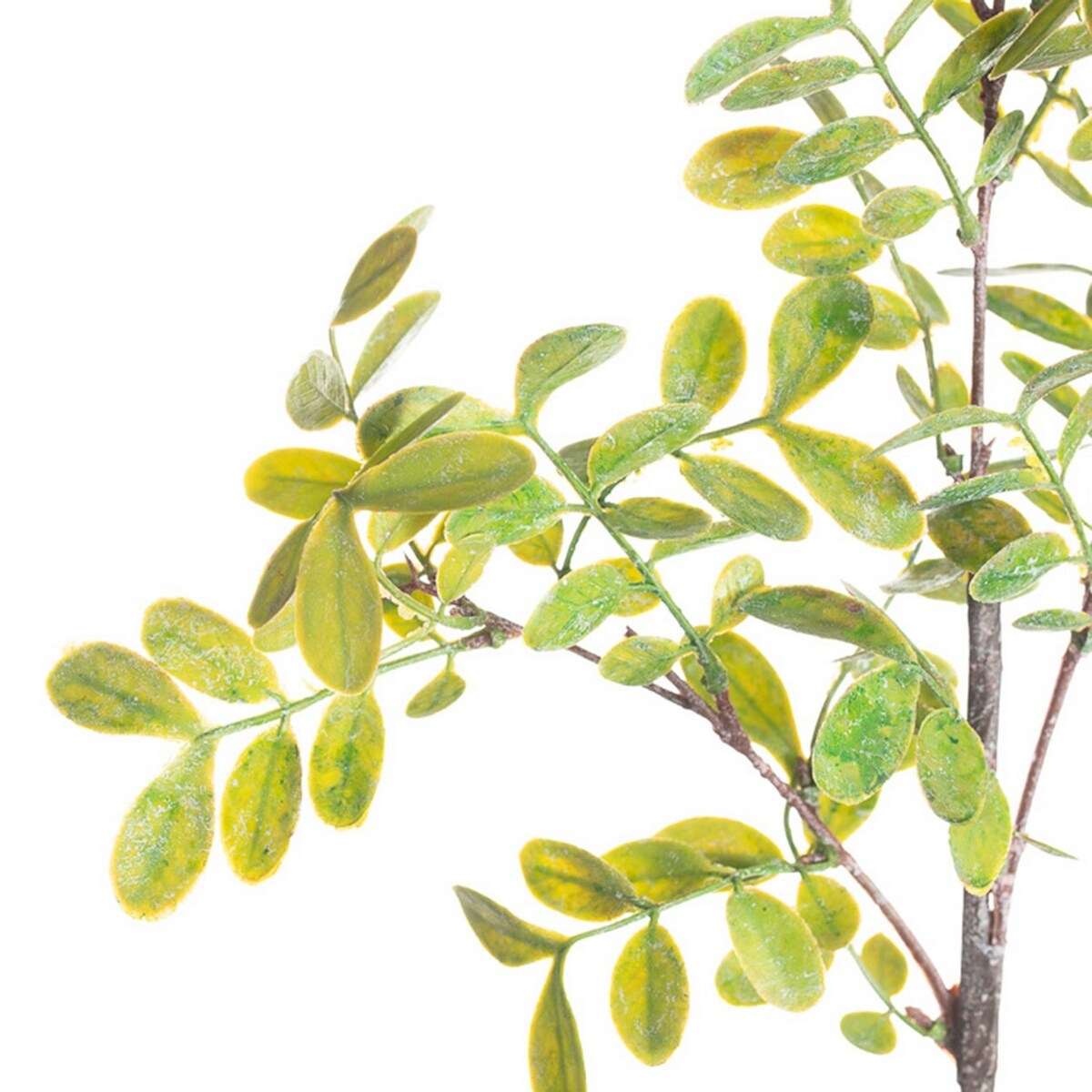 Gałązka Green Twig 100cm, 20 x 5 x 100 cm