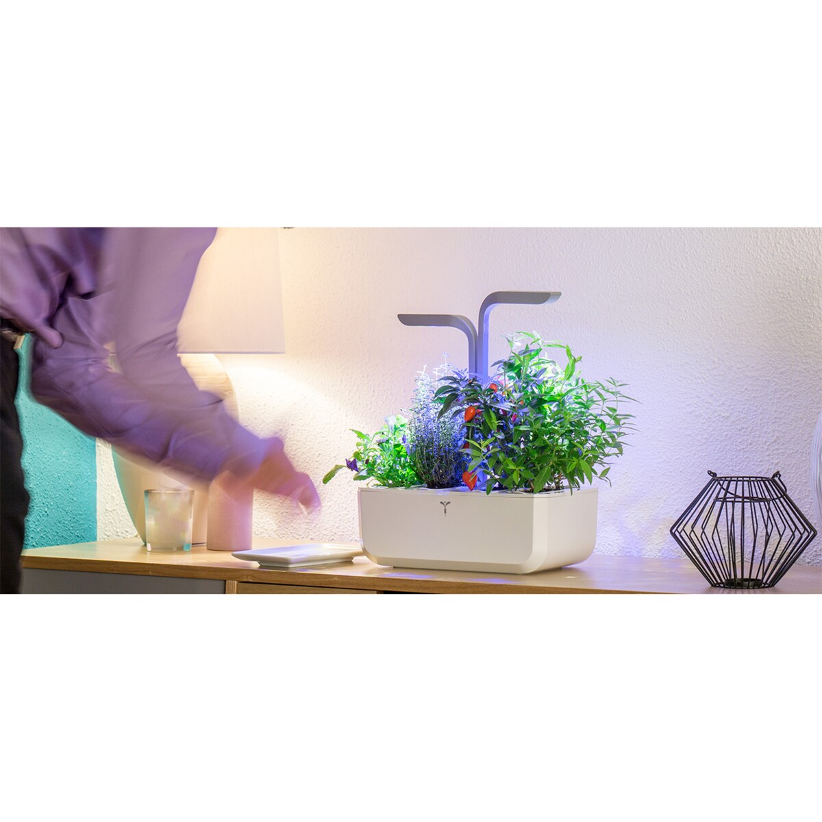 Doniczka Véritable Classic